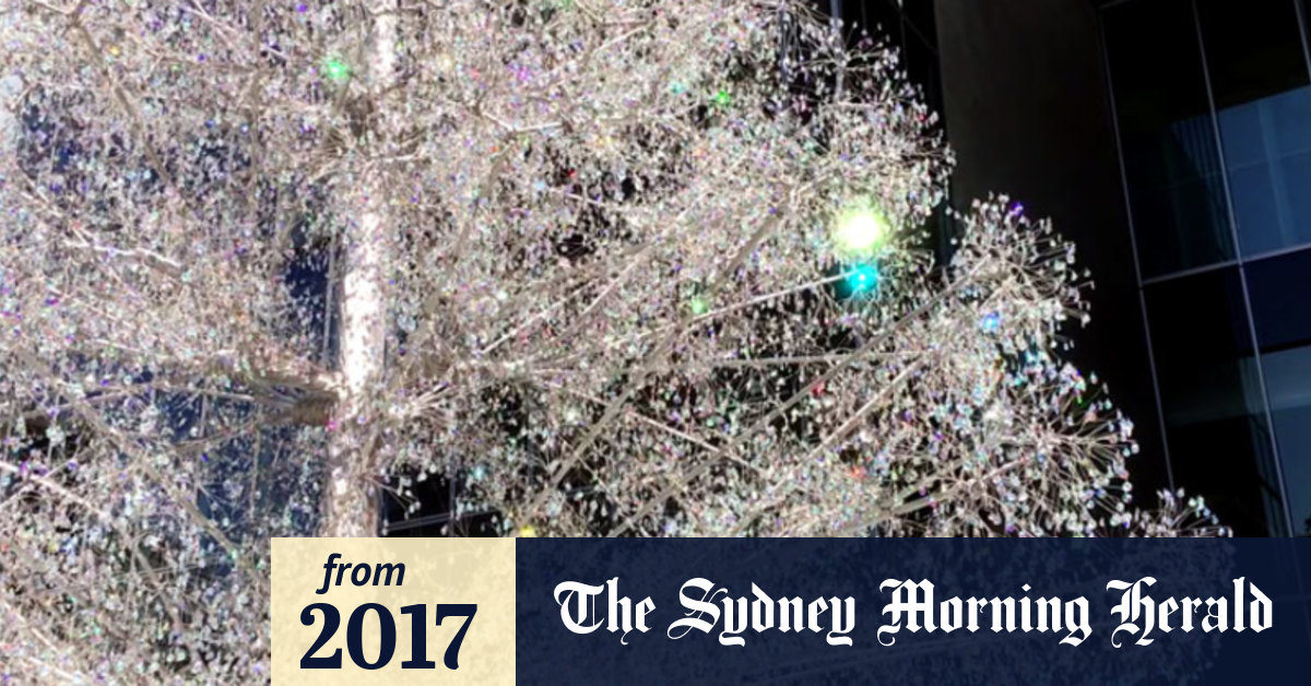 Video World's most beautiful Christmas tree goes up in Tokyo
